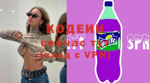 соль ск Белокуриха