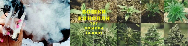 соль ск Белокуриха
