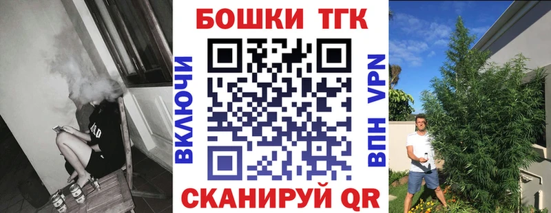 Бошки Шишки планчик Надым